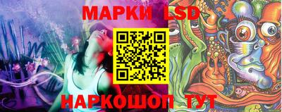 шишки Коммунар