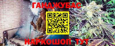 шишки Коммунар