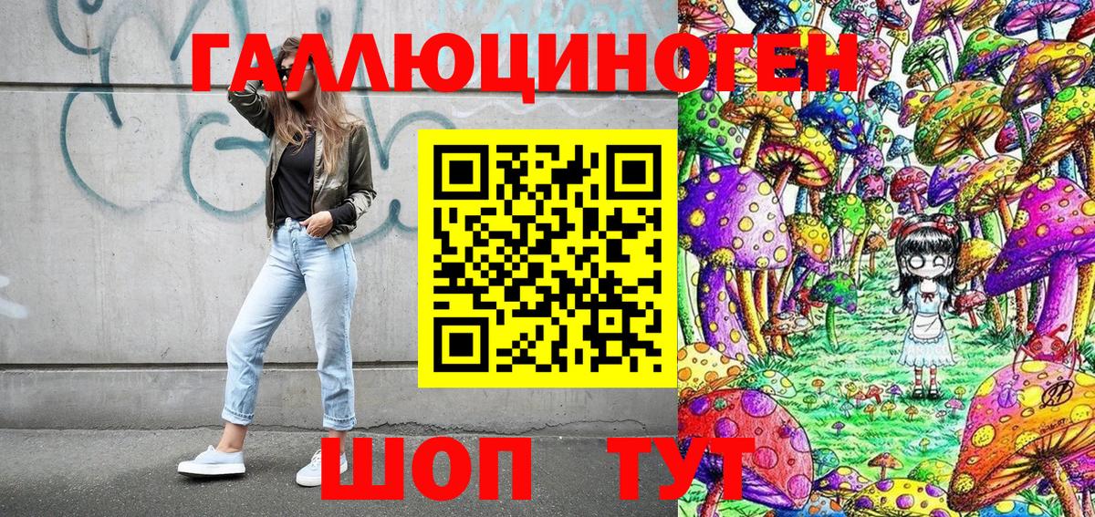 Черкесск  Псилоцибиновые грибы Cubensis  Вход с VPN 