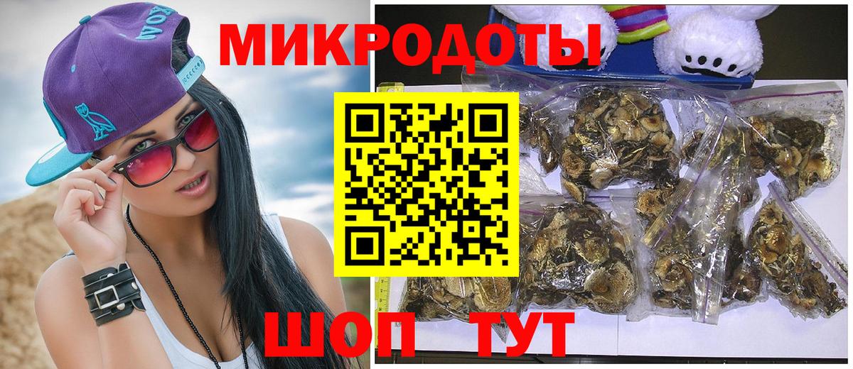 Галлюциногенные грибы Psilocybine cubensis Черкесск